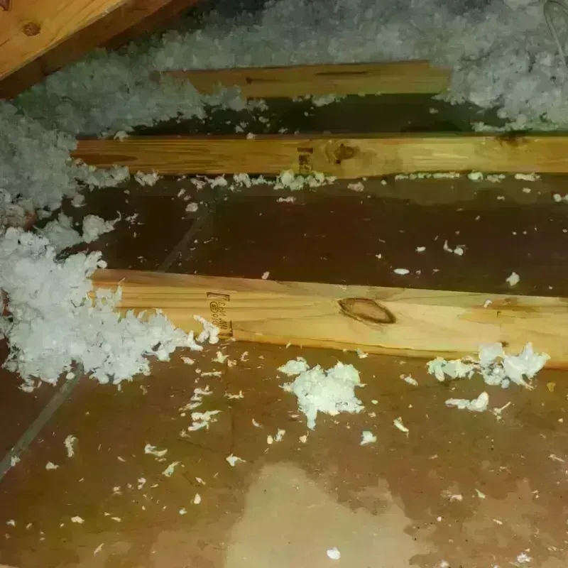 Attic Water Damage in Ogden, KS