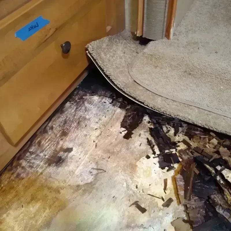 Wood Floor Water Damage in Ogden, KS